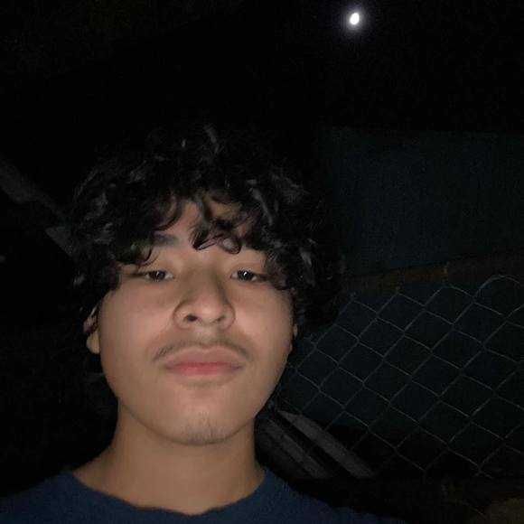 fernandomaci781